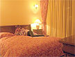 Poza 3 de la Hotel Tresor Timisoara